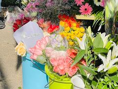 -循礼门鲜花花市(武汉循礼门店)