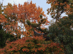 -寒山寺
