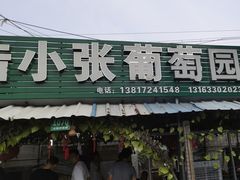 -马陆小张葡萄园农家乐