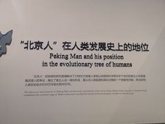 -北京周口店北京人遗址博物馆