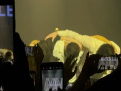 -SoFun Live