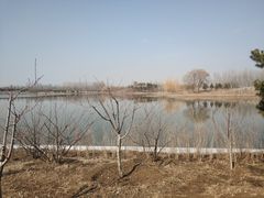 -东郊湿地公园