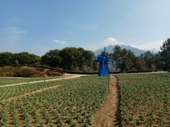 -广州市流溪河国家森林公园