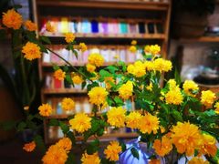 -今日陶艺(富力广场店)