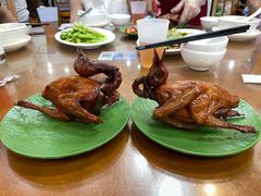 红烧乳鸽-煲煲掂风味煲仔饭餐厅(西区店)
