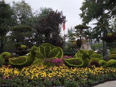 -莲湖公园