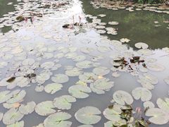 -白沙门生态公园