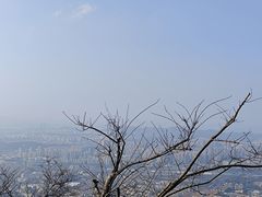 -紫金山山顶公园