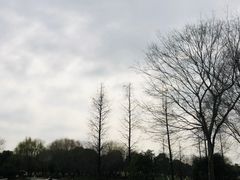 -贡湖湾湿地公园