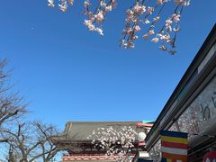 -浅草寺