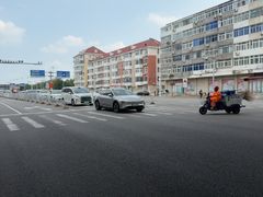 -桃花堤公园