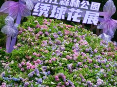 -上海滨江森林公园