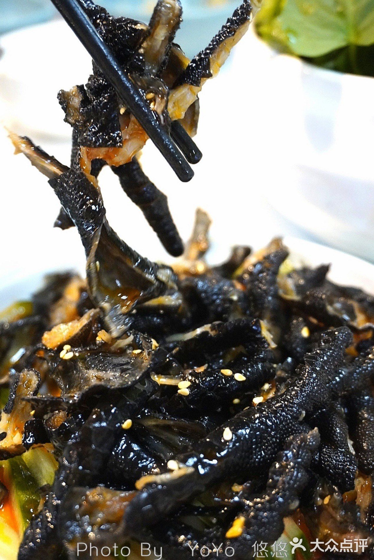一直在三亚连续排行的萌哒哒