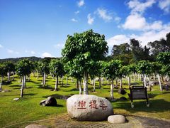 -三亚南山文化旅游区