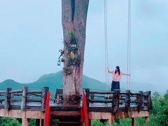 -大树秋千