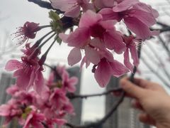 -小南山公园