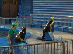 -华夏文旅西安度假区