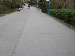 -森林公园(尖草坪区)