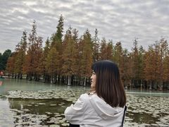 -白鹭湾湿地公园