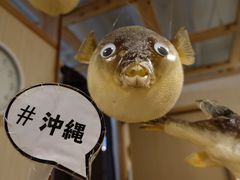 -玄品河豚(那覇國際通里之関)