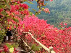 -木兰云雾山