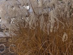 -云里小坐·海泉湾·团建·宴席·下午茶(金堂海泉湾店)