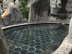 -兴芮温泉度假区