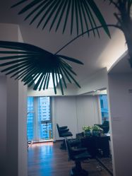 -涩谷イメジSalon烫染専門店