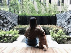 -上海崇明金茂凯悦酒店