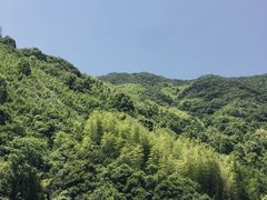 -宁波五龙潭景区