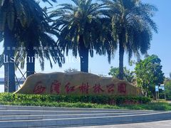 -宝安西湾红树林湿地公园