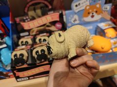 -解忧集市(北京路天河城店)