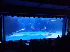 -石家庄海洋公园