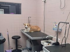 -FAELING PETS美天灵宠物(富力广场店)