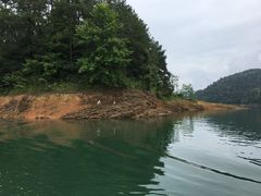 千岛湖-千岛湖城中湖游船码头