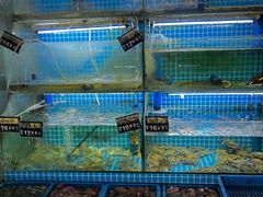 -老东镇啤酒屋海鲜加工·蒸汽海鲜·海鲜烧烤(台东店)