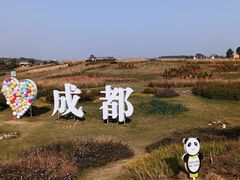 -空港花田景区