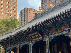 -护国法轮寺
