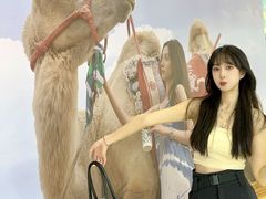 -南通CBD大有境