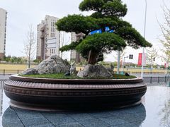 -上海宝华喜来登酒店·采悦轩中餐厅