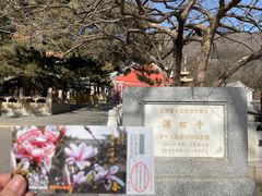 -潭柘寺景区