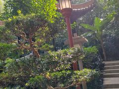 -广州兰圃
