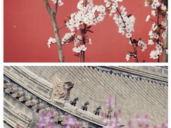 -北京艺术博物馆(万寿寺)