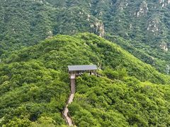 -大岭沟猕猴桃谷风景区