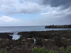 -龙坑生态保护区