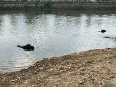 -杭州双溪漂流景区