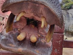 -贵州森林野生动物园