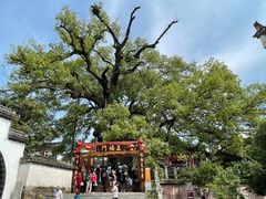 -新安江山水画廊风景区