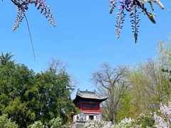 -晋祠公园