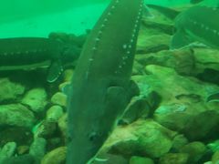 -太平洋海底世界